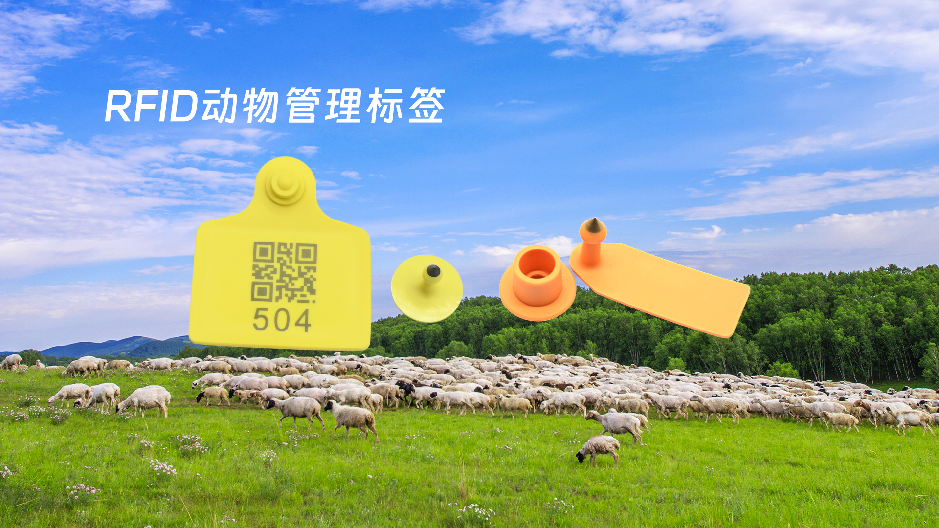 微信圖片_20250319133626