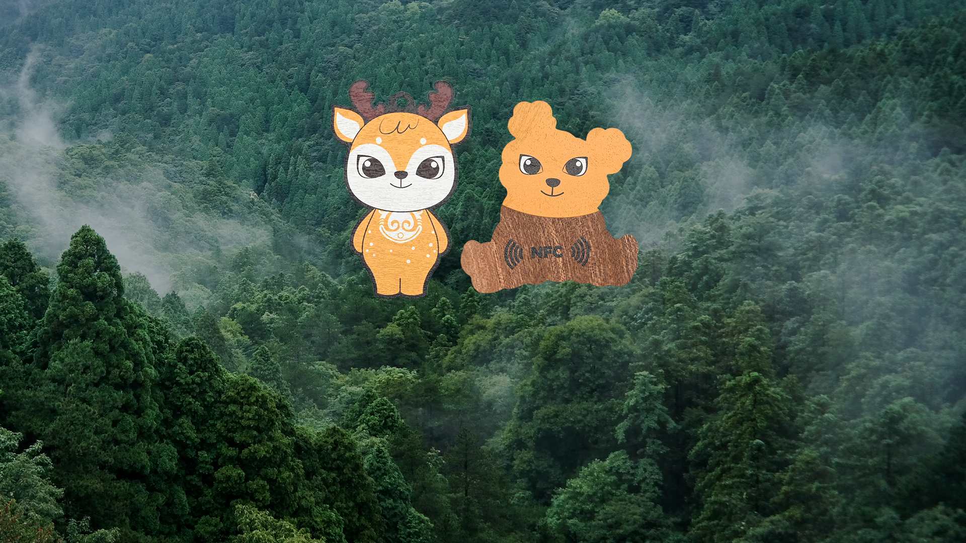 微信圖片_20250317155750